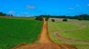A Arte de Superar Crises: o Legado de Tarsila do Amaral como Inspiração