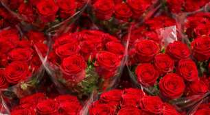 Paolla Oliveira recebe caminhão de rosas e critica o galanteio: "Invasão"