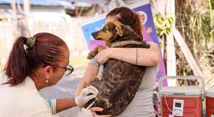 Vacinação antirrábica terá ações itinerantes em bairros de Guararema neste mês