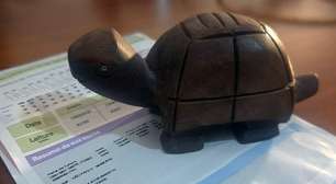 Energia elétrica exerceu maior impacto sobre inflação de 2025