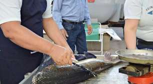 Pescadores artesanais de Osório podem acessar financiamento de até R$ 15 mil pelo Feaper