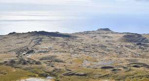 Gado introduzido em ilha do Oceano Índico se adaptou a condições inóspitas, mas acabou sendo abatido