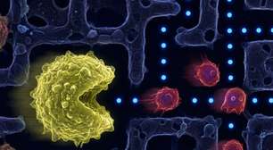 Igual ao Pac-Man: veja o momento exato em que células do câncer fogem do sistema imunológico