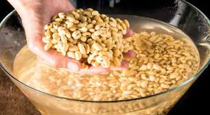 Feijão de molho: por que esse passo é tão importante