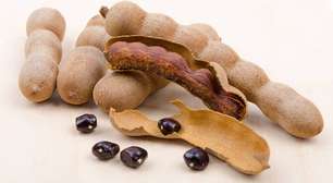 Tamarindo: origem, cultivo e benefícios para saúde e culinária