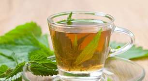 Mastruz: 5 chás com a planta e seus benefícios para a saúde