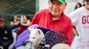 Prefeitura de Ferraz facilita acesso à castração gratuita com inscrições on-line em 2026