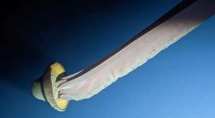 Cientistas registram criatura gigante que vive nas profundezas do oceano, tem braços de 10 metros e é raríssima na natureza