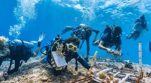 Por que o Tratado do Alto-Mar importa para a economia brasileira - e quase ninguém percebeu