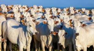 Guerra da Comida: Reestruturação da Nutrição nos EUA Promete Batalhas Judiciais nos Próximos Meses