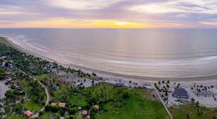 Conheça a incrível "floresta que anda": ela muda a paisagem do Equador