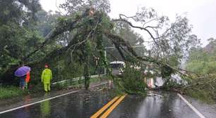Mulher é atingida por cabeça d'água, se afoga e é socorrida; chuva provoca estragos no litoral de SP