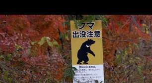 Nem balas, nem cassetetes: Japão encontrou a arma perfeita para lidar com um problema inusitado e ela voa carregada de pimenta