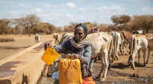 Mundo entrou em estado de "falência hídrica", alertam pesquisadores da ONU