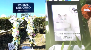 Primeiro cemitério de pets é inaugurado em El Salvador; saiba mais