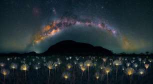 Quem é o único brasileiro no livro de fotos da National Geographic