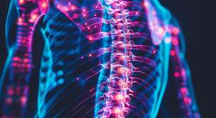 Longevidade articular redefine prevenção ortopédica