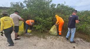 Mutirão do Inea retira 300 kg de resíduos de manguezal em Niterói