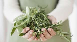 Descobri que essa erva comum da cozinha ajuda a combater a gripe, reduzir os gases e ainda emagrecer