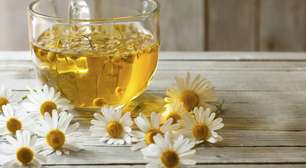 Camomila faz bem? 8 benefícios da planta para a saúde e como consumir