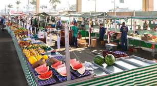 Com 10 anos de licença, credenciamento para feiras de Mogi pode ser feito até esta quarta