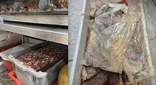 Ação integrada identifica irregularidades graves e interdita 2 restaurantes em Xangri-lá e 2 mercados em Capão da Canoa