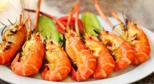 Quando a comida faz mal: guia de alergias e intolerâncias alimentares