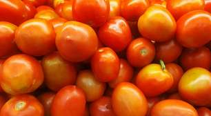 Se você chama tomate de legume, a ciência tem algo a te dizer: você está cometendo um erro básico sobre quase toda a sua salada