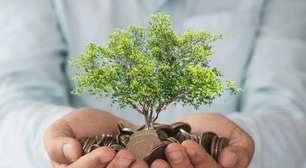 VGIR11 reduz lucro e paga R$ 0,13 por cota em dezembro