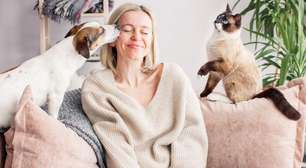 Antes de adotar um pet: checklist do que você precisa ter