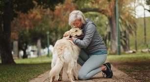 5 dicas para melhorar a comunicação com o seu cão