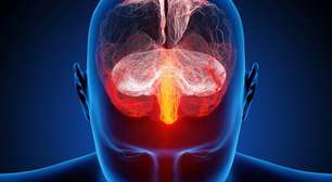 Quando o príon ataca: um guia sobre a temida letal doença DCJ