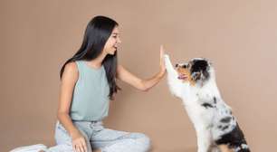 8 dicas práticas para estimular a inteligência do seu cachorro