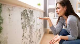 Xô, umidade! Confira dicas para evitar o mofo em casa
