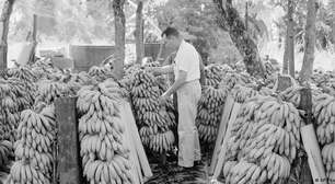 A história colonial por trás da "república das bananas"