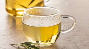 Chá de oliveira: 6 opções para ajudar a combater a gordura abdominal