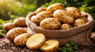 Sementes da história: como povos antigos carregaram uma batata selvagem pelo sudoeste americano e a espalharam por todo o continente