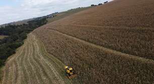 AgRural eleva previsões para safras de soja e milho do Brasil