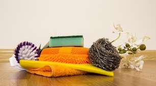 Se você tem esponjas velhas, nada de jogar no lixo: você tem um tesouro para salvar suas plantas