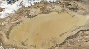 É verdade: a China está criando toneladas de peixes no deserto