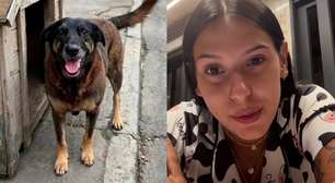 Cantora Ana Castela desabafa sobre morte do cachorro Orelha em SC: 'Sem coração'