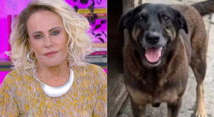 Ana Maria Braga se revolta com caso de adolescentes que mataram cachorro