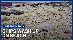 Comida para todo lado: tempestades espalham toneladas de batatas fritas congeladas e cebolas em praias
