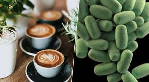 Um velho aliado: tomar café pela manhã tem consequências muito positivas para a microbiota do corpo