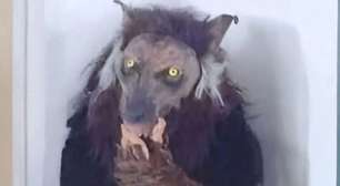 Brigada Militar nega prisão de "lobisomem" em Guaíba