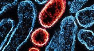 Nipah: o vírus que causa preocupação na Ásia e voltou a deixar aeroportos em alerta na região