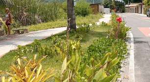 Mundo gasta 30 vezes mais contra a natureza do que a favor