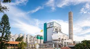 No Rio Grande do Sul, projeto de celulose de R$ 25 bilhões ameaça indígenas e o rio Guaíba