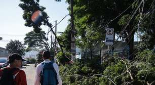 Após temporal que derrubou árvores e provocou caos, SP tem previsão de mais chuva nesta quarta-feira