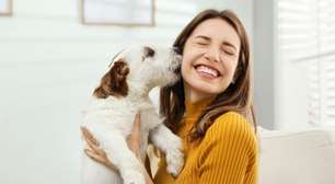 O ritual para proteger os pets e afastar energias negativas